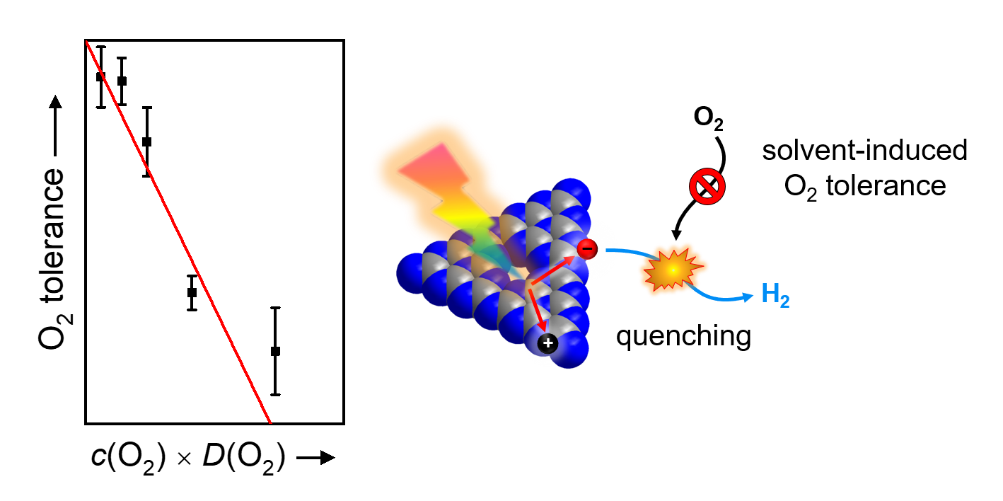 solvent O2 tolerance schematic