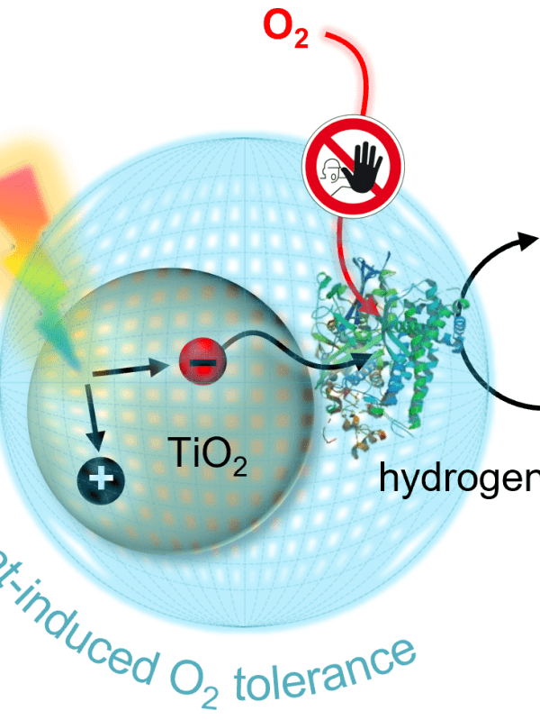 Paper in Angewandte&nbsp;Chemie