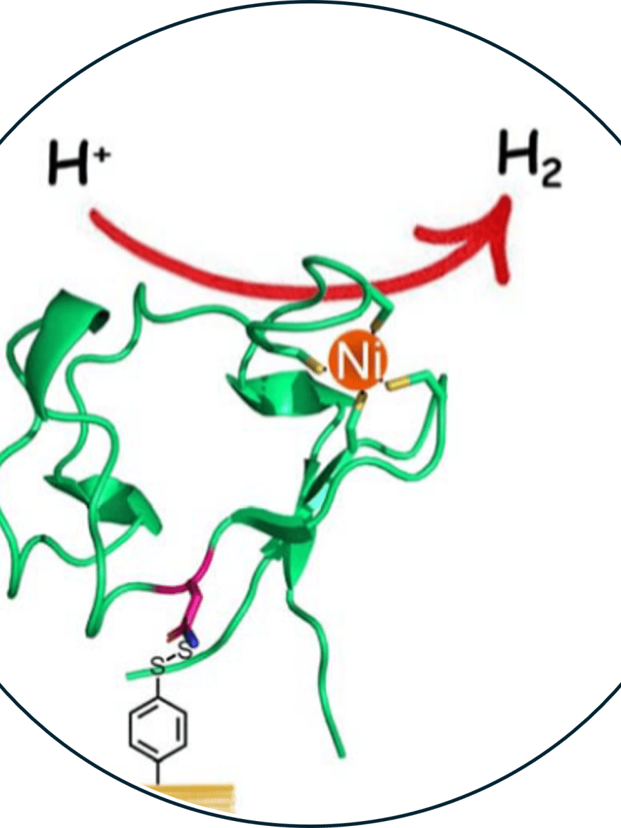 Paper in J Mater Chem&nbsp;A